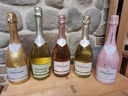 Schlumberger Set 5 Flaschen