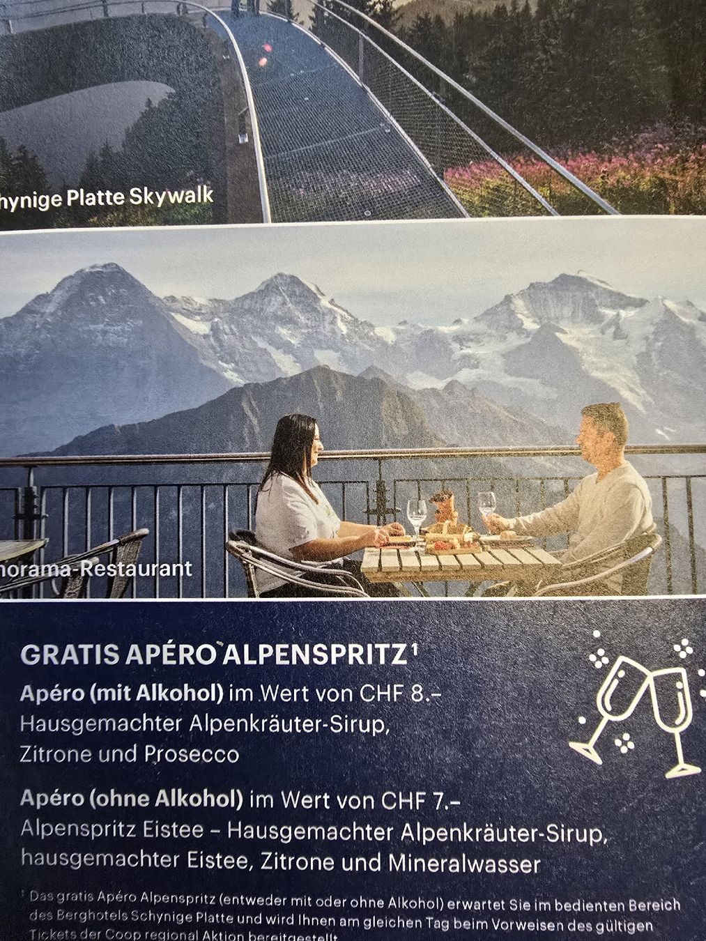 Bons: Ausflug Schynige Platte 30% Rabatt & gratis Apero – Neuf (Voir description) à Matten b. Interl par dor_w77b 1
