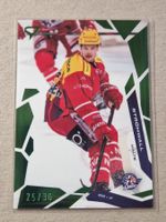 Sportzoo  Stromwall  178  Rapperswil  green  25/30