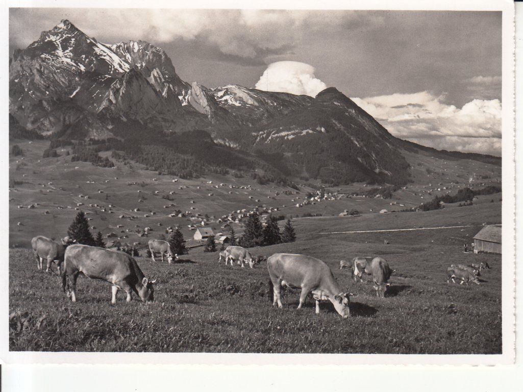 Cartoline postali: Wildhaus ca. 1940 – Usato da Bürglen TG venduto da StampGraf