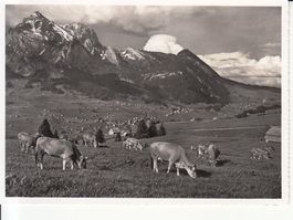 Wildhaus ca. 1940