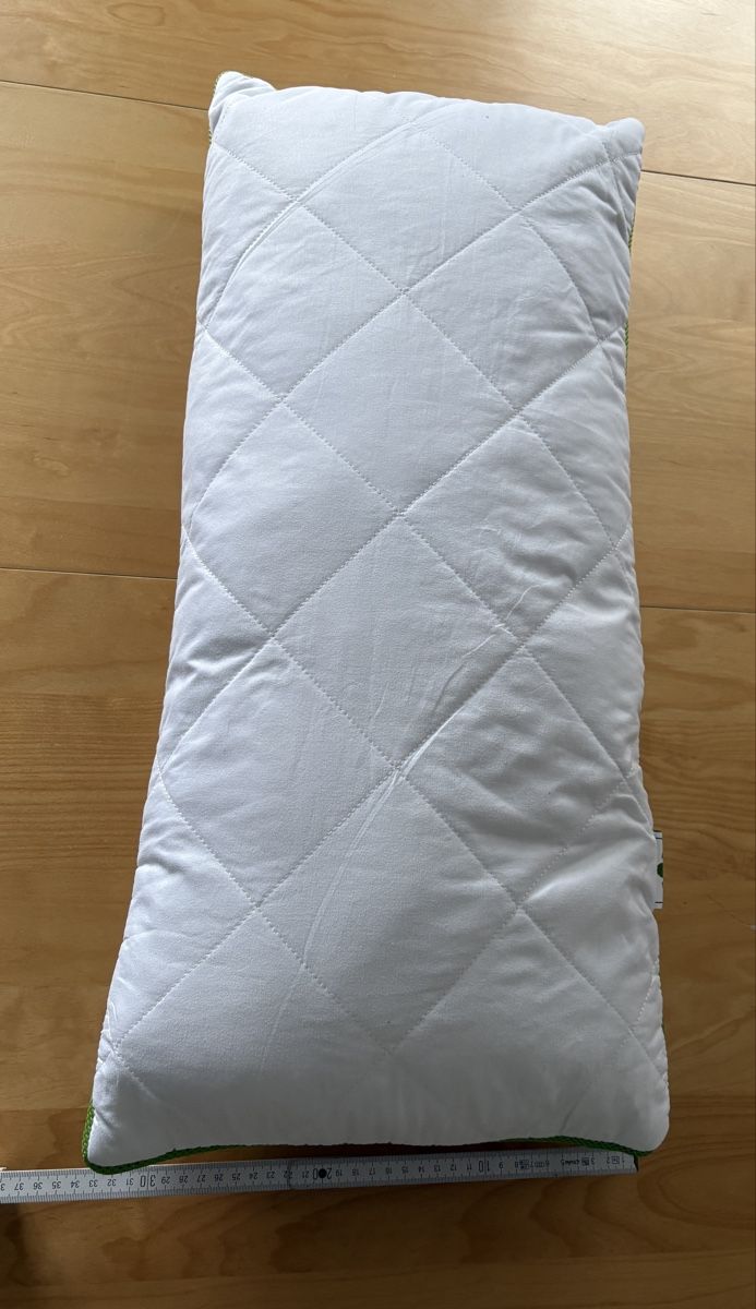 Coussins: Kopfkissen irisette Greenline – D'occasion à Auenstein par 5222 3