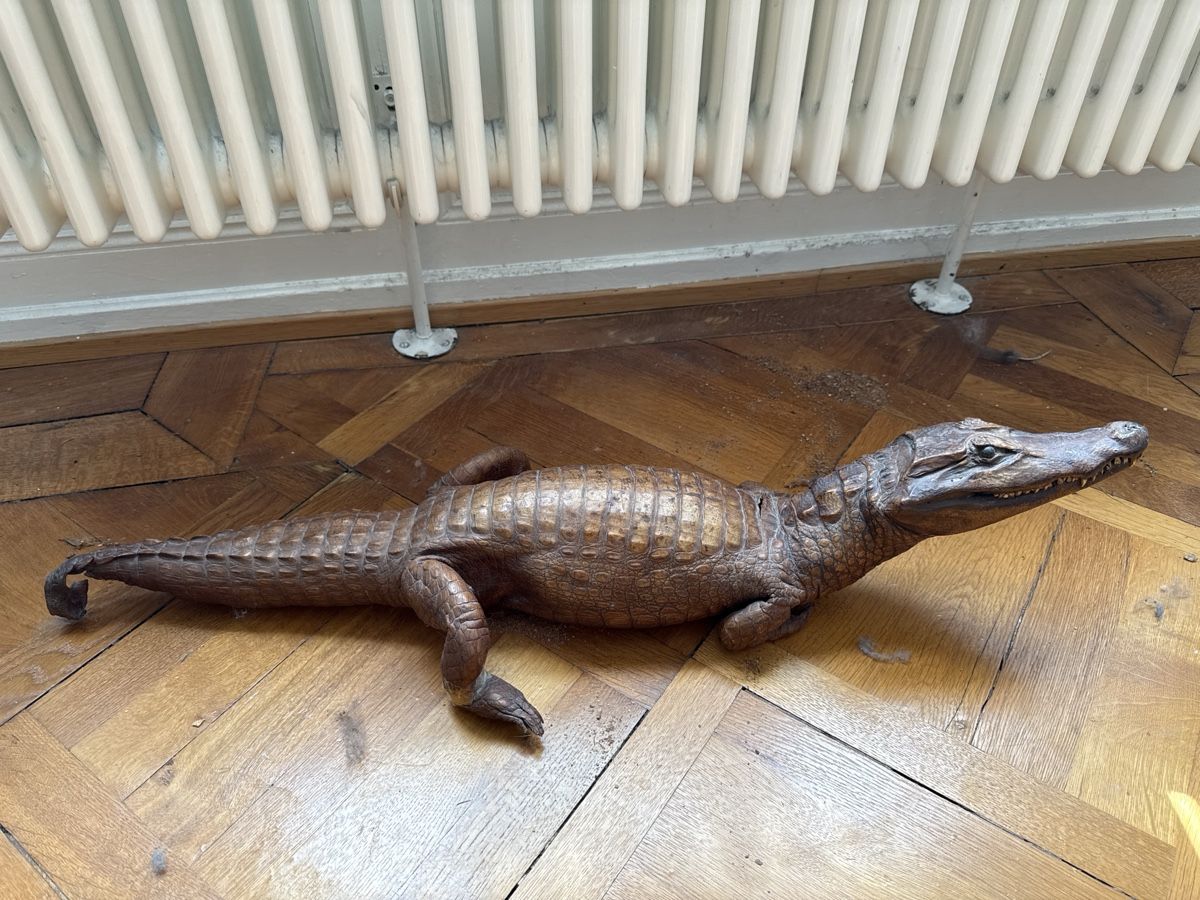 Monde des animaux: Krokodil ausgestopft – D'occasion à Basel par Ramses1179 5