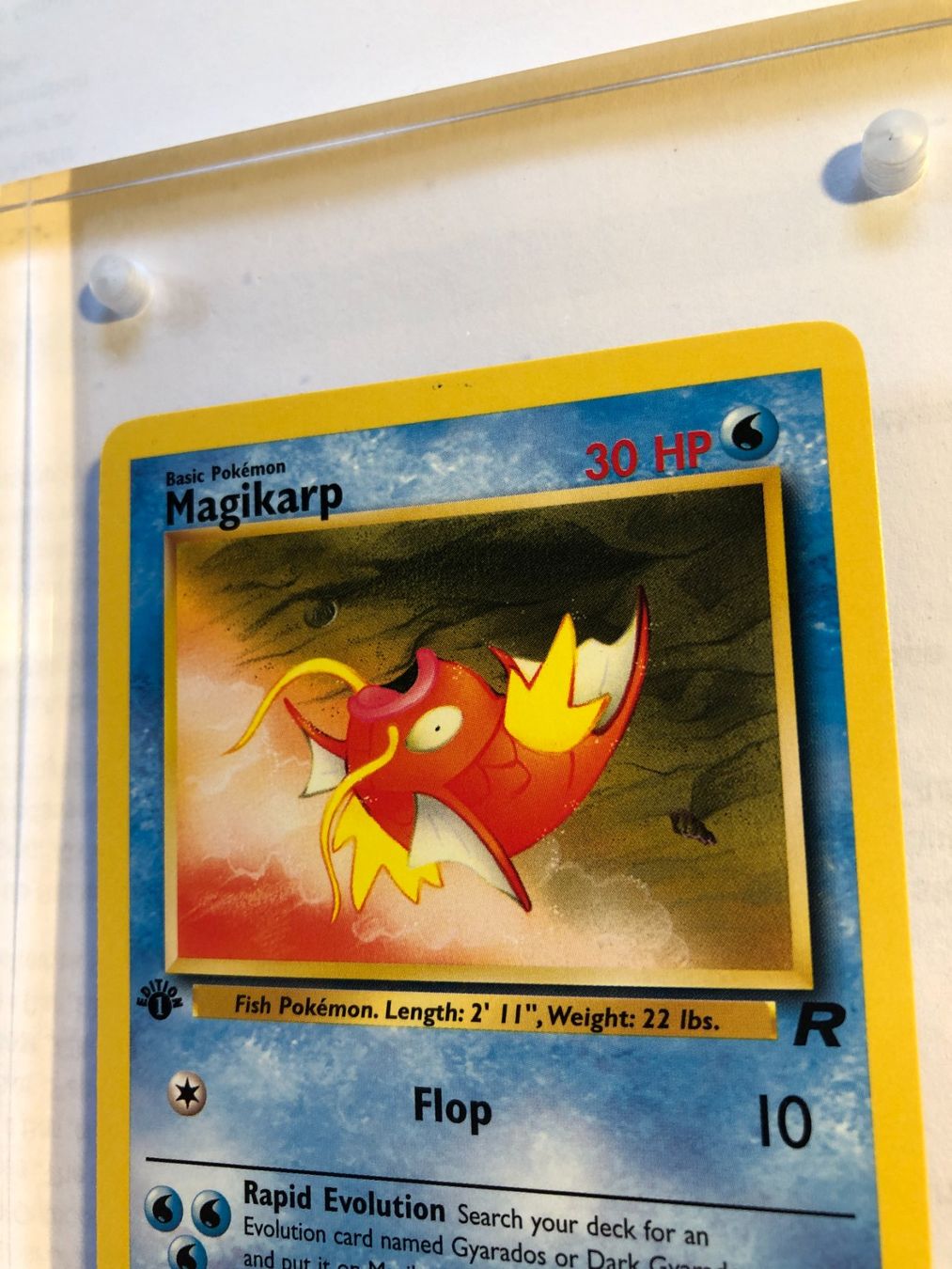 Carte collezionabili: Magikarp (unc.) Team Rocket 1st - MINT - ab 1.- – Usato da Giubiasco venduto da dan_pr8b 3
