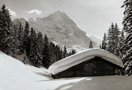 Grosse Fotokarte (14 x 19 cm)  - Grindelwald, Eiger