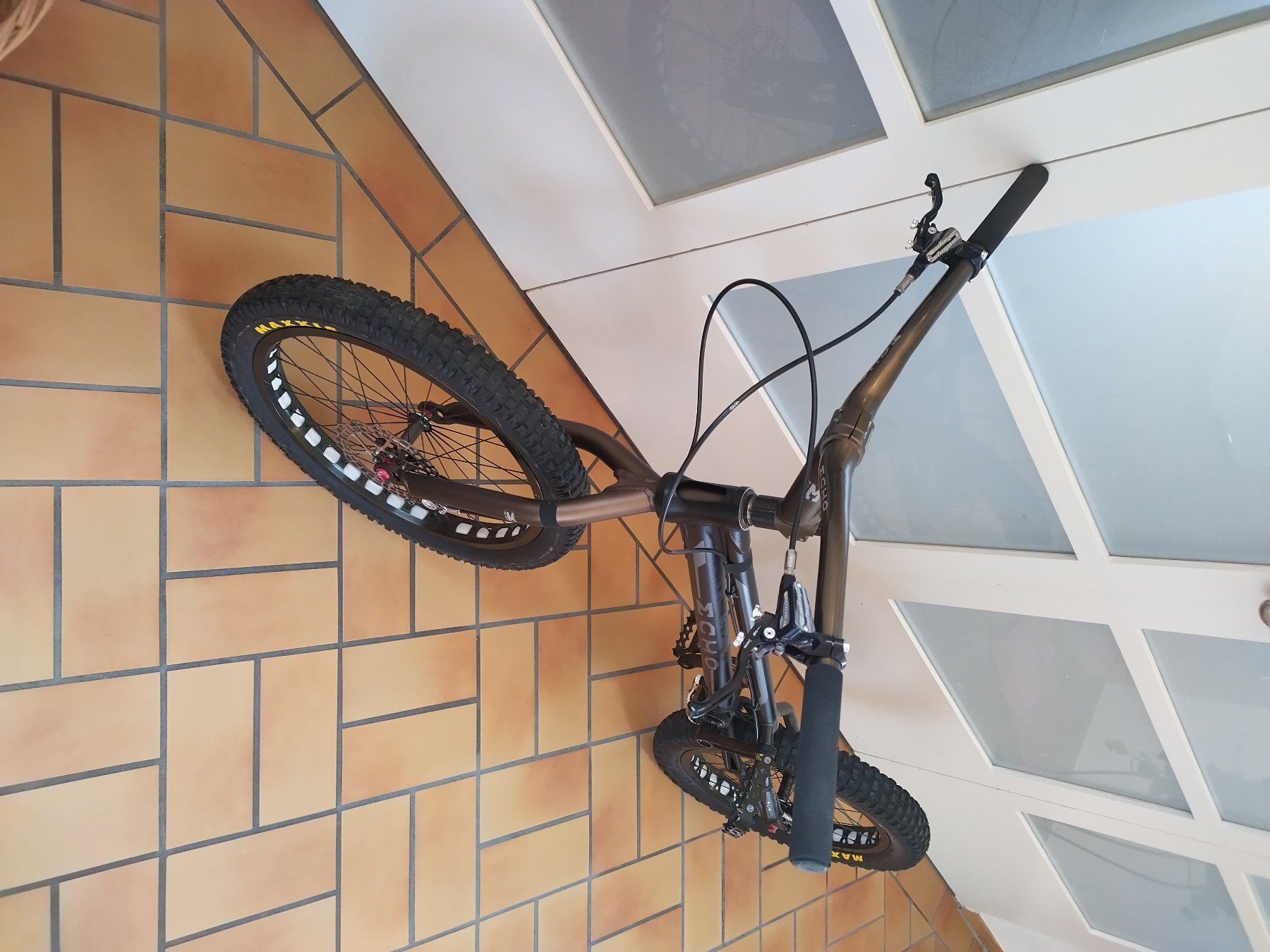 Biciclette: Trial Bike ECHO 20" MK4 Ti HOPE – Usato da Villmergen venduto da ff124 1