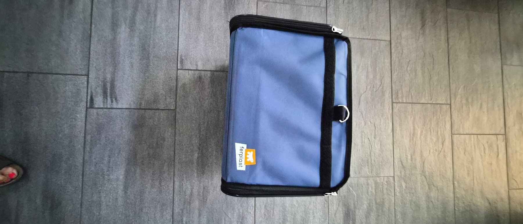 Ferplast Gabbie, trasporto & Sicurezza: Ferplast Hunde und Katzen Transportbox – Usato da Dietikon venduto da Agiraffe 1