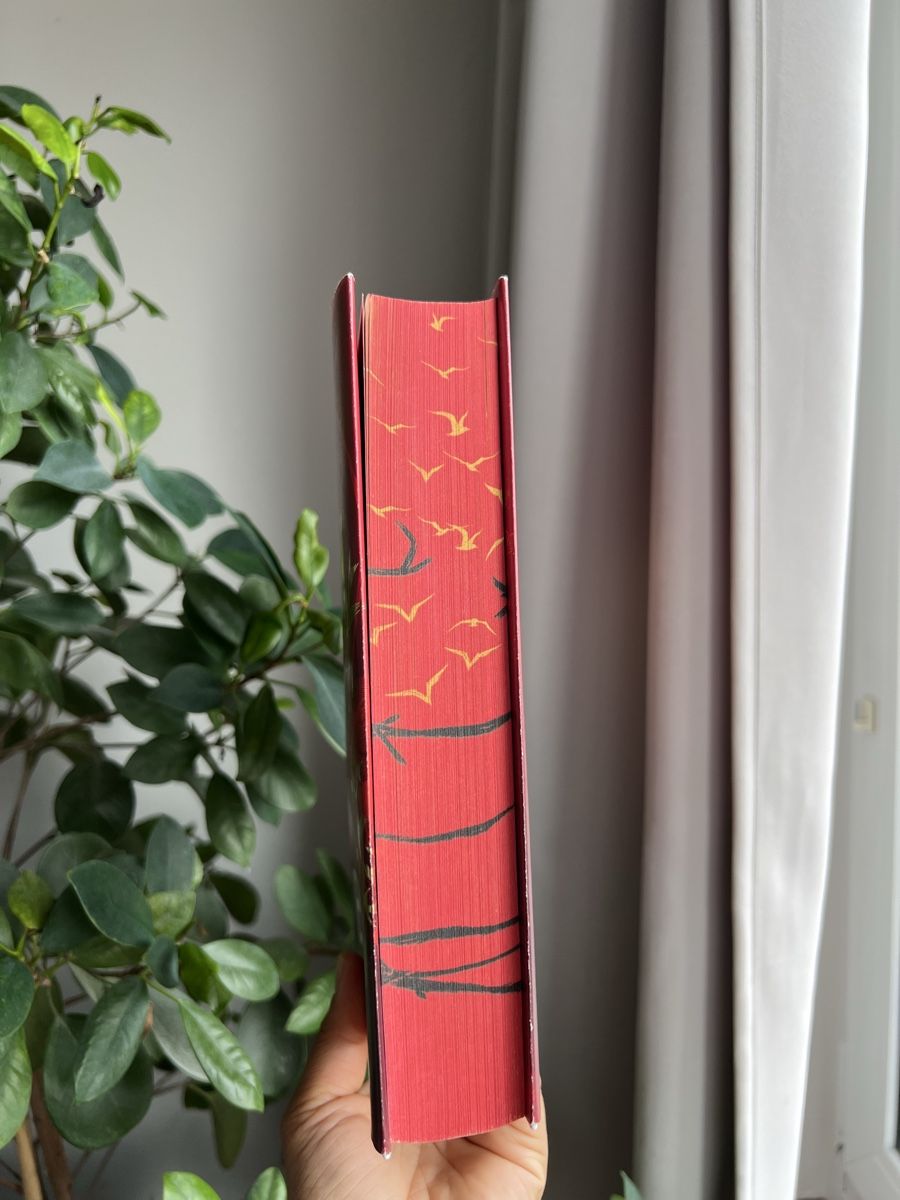 Libri: To Cage a Wild Bird von Brooke Fast – Nuovo (secondo la descrizione) da Glattbrugg venduto da readsy 2