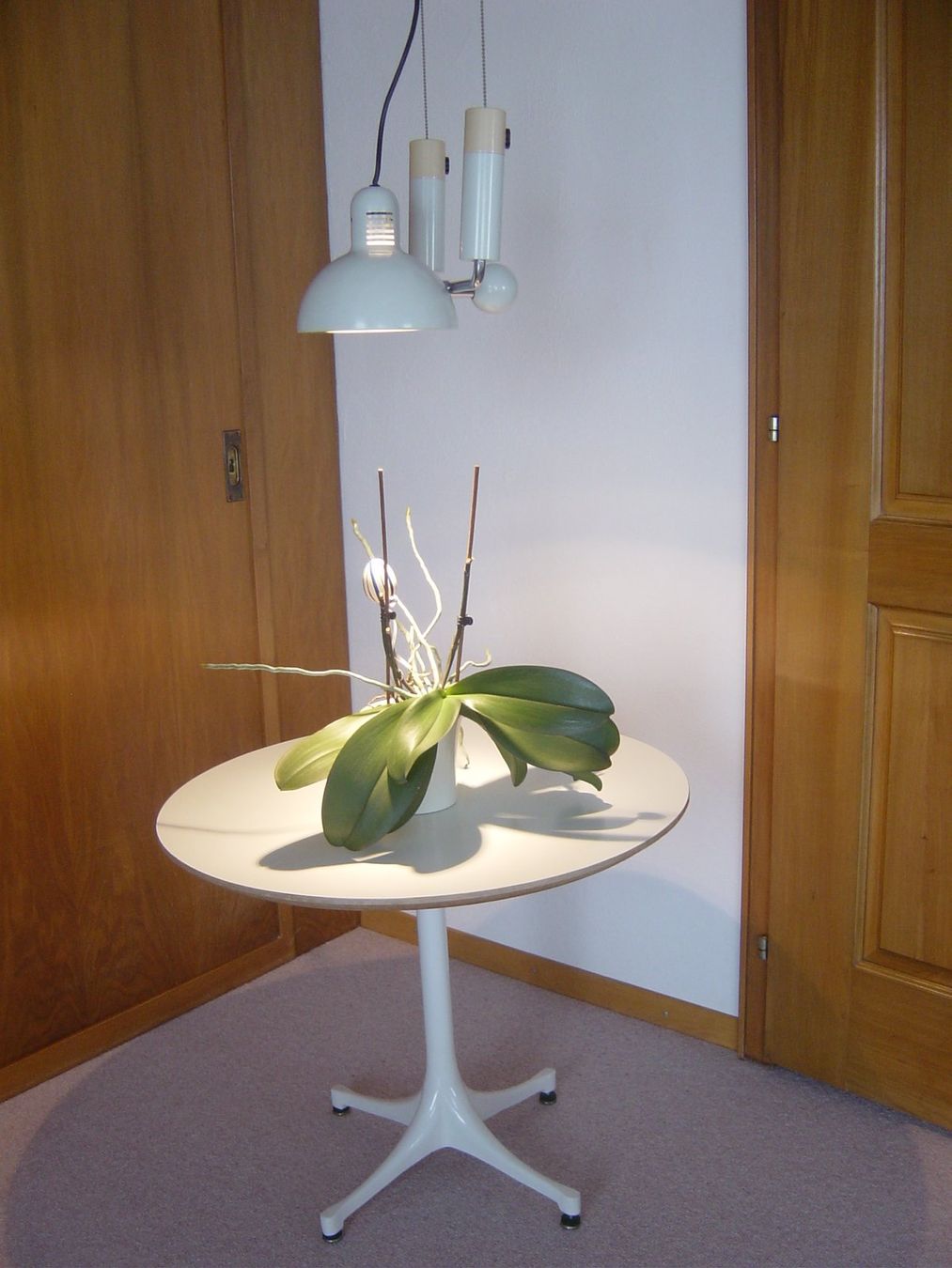 Kronleuchter & Deckenlampen: Designer Deckenleuchte Martinelli Luce – Gebraucht aus Wil SG von Pin05 5