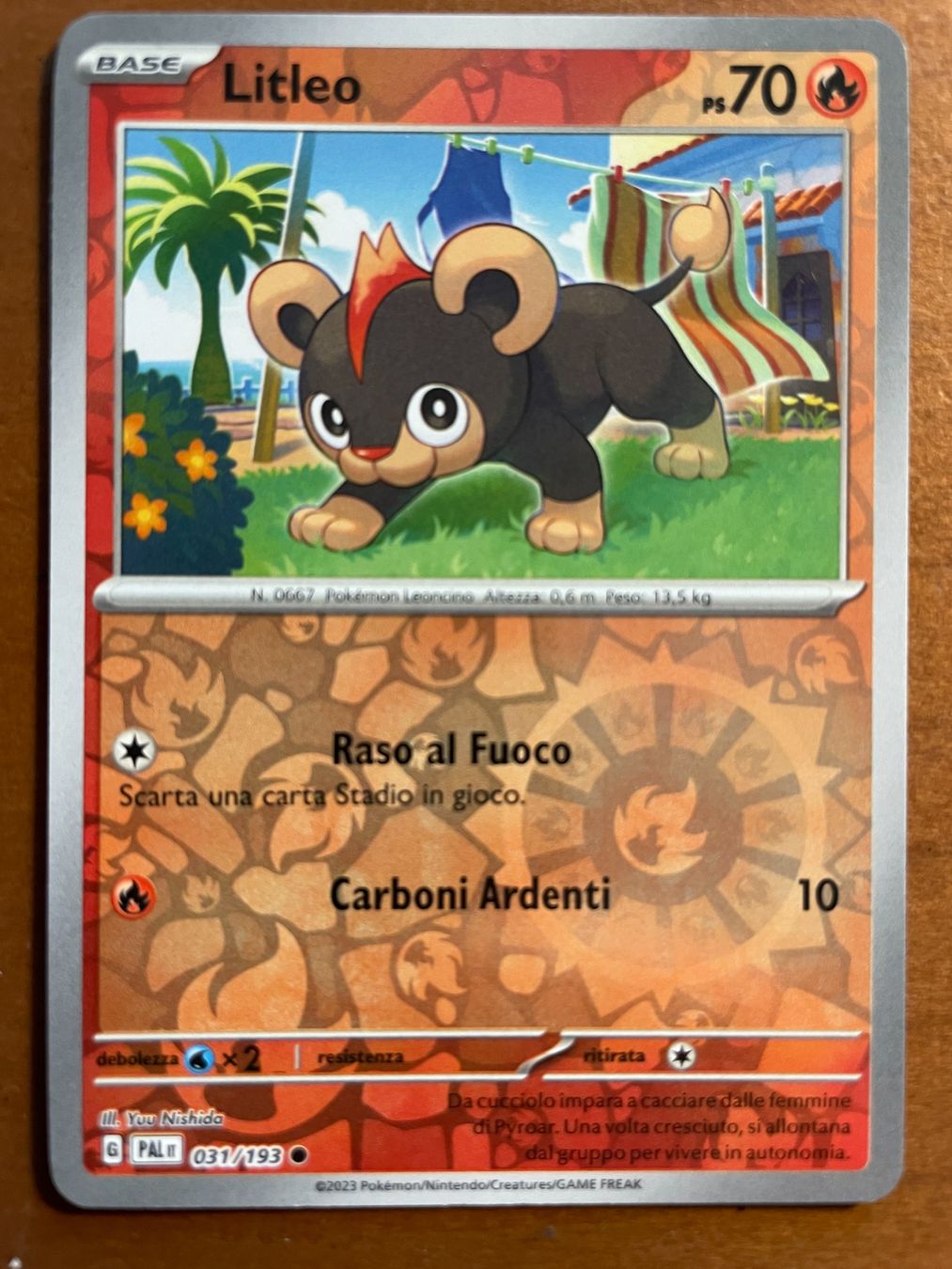 Pokémon Carte collezionabili: Pokemon Litleo Reverse (Versand gratis) – Nuovo (secondo la descrizione) da Chur venduto da Angerson