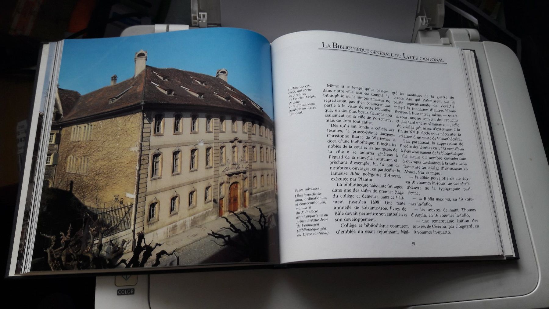 Libri: Livre Porrentruy – Usato da Laufen venduto da Mann455 5