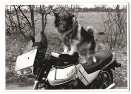17 Fotografien Motorrad Suzuki GSX 1100 