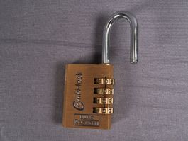 ZAHLENSCHLOSS -BURG-WÄCHTER Combi-Lock