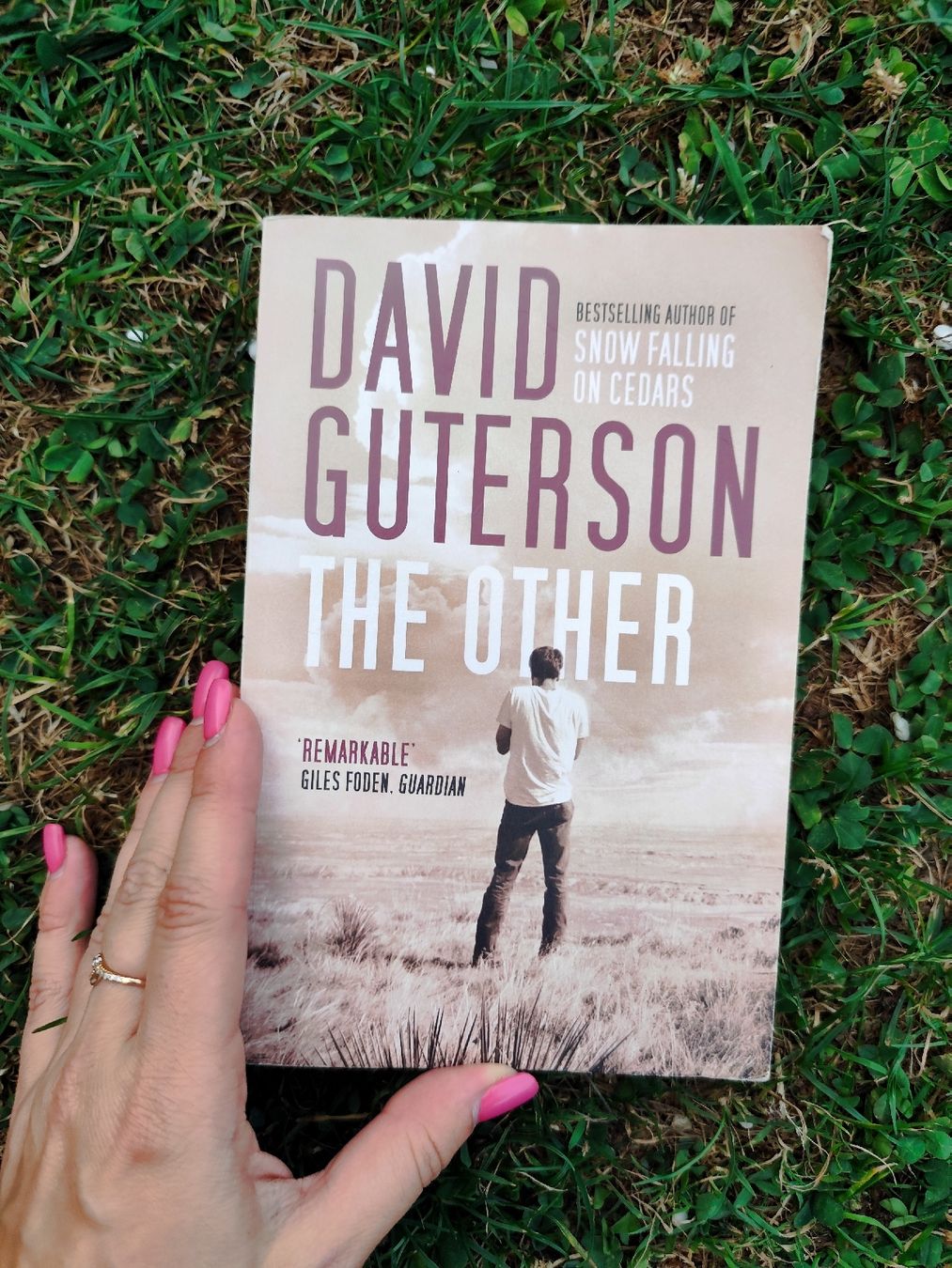 Libri: David Guterson The Other Novel Paperback – Usato da Mägenwil venduto da VintageGirly