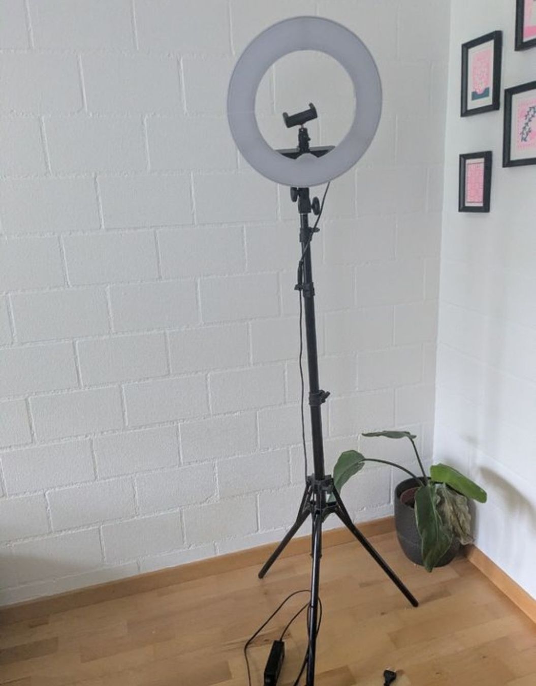 Lampen: Neewer Ringlicht mit Stativ - Top Zustand! – Gebraucht aus Rietheim von vla_y88j