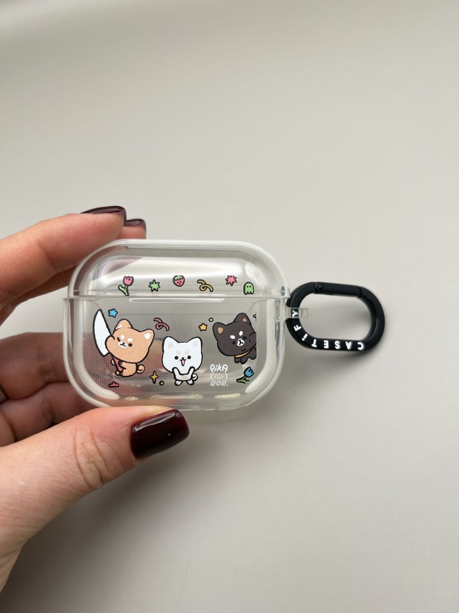 Cover & Protezioni schermo: Casetify AirPods Pro Case – Usato da Bern venduto da RussianDoll 1