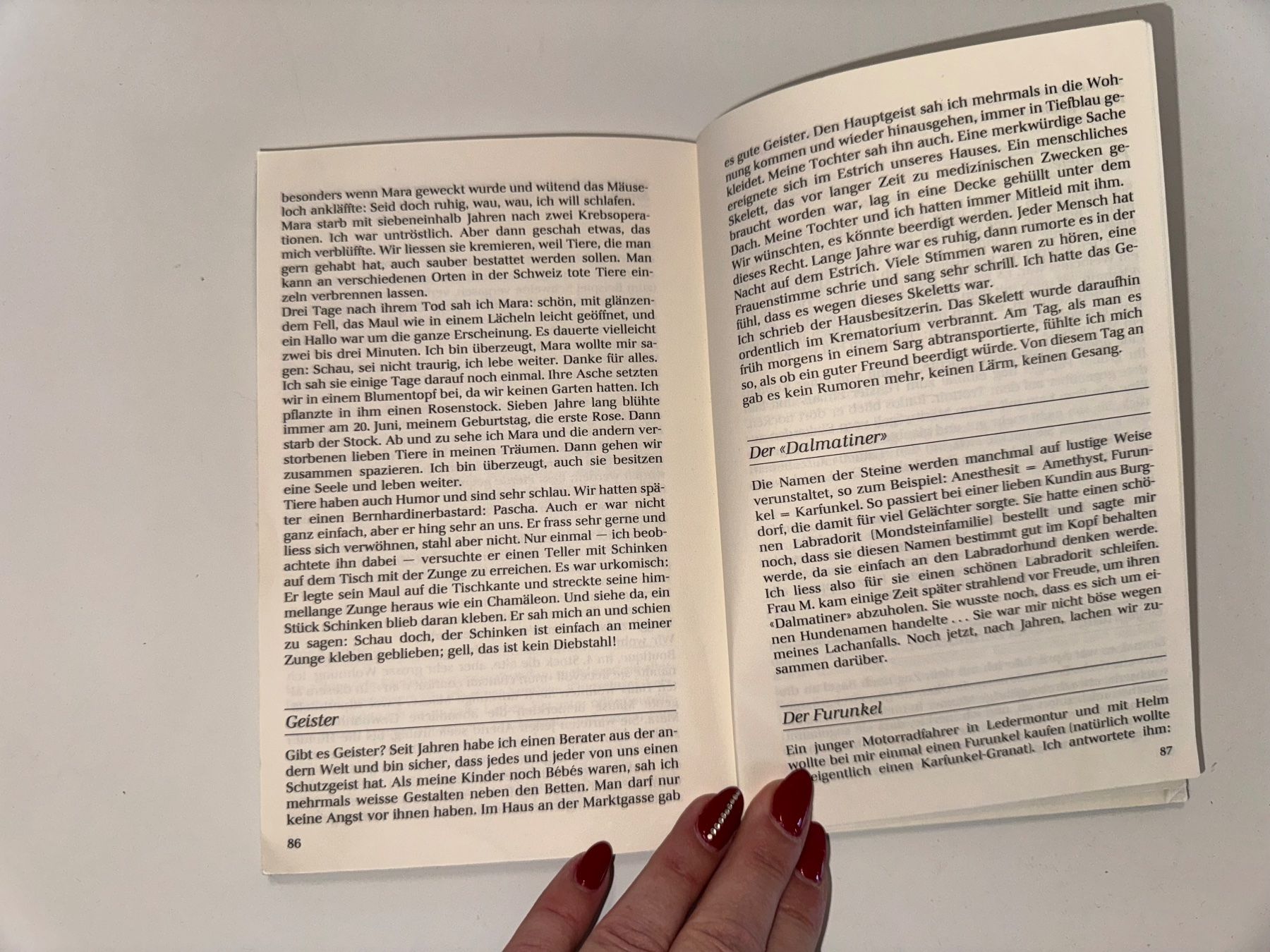 Livres: Buch: Hilf dir selbst mit einem Stein, E. von Siebenthal – D'occasion à Grosswangen par Second_hand_paradise 4