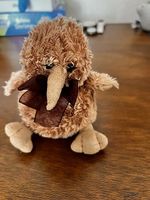 süsser Kiwi vogel