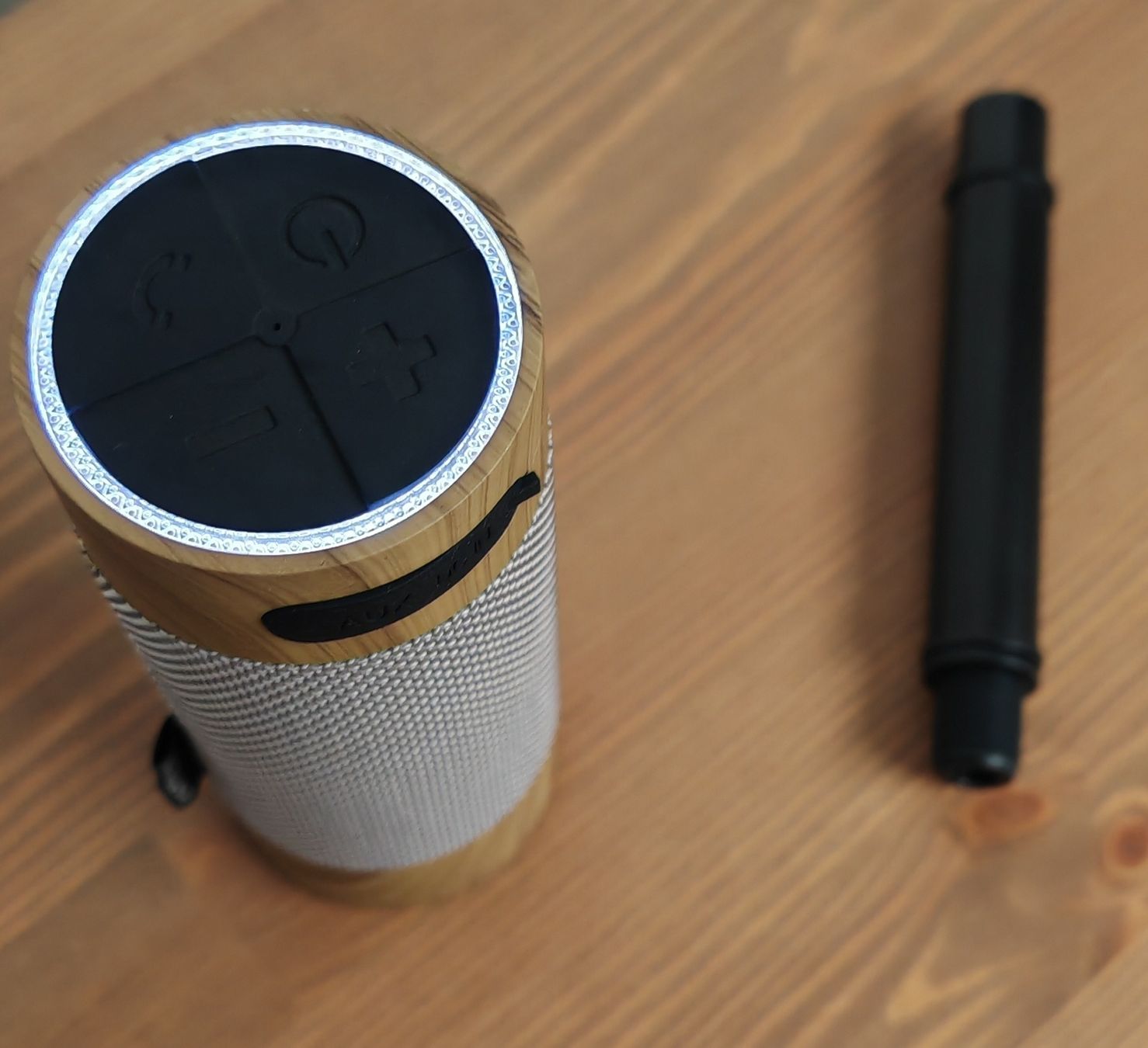 Casse acustiche: Bluetooth Lautsprecher mit Erdspiess neuwertig – Usato da Rheinsulz venduto da Dred 1