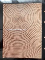 Schweiz 2004 Jahrbuch postfrisch vollständig Postpreis-20%