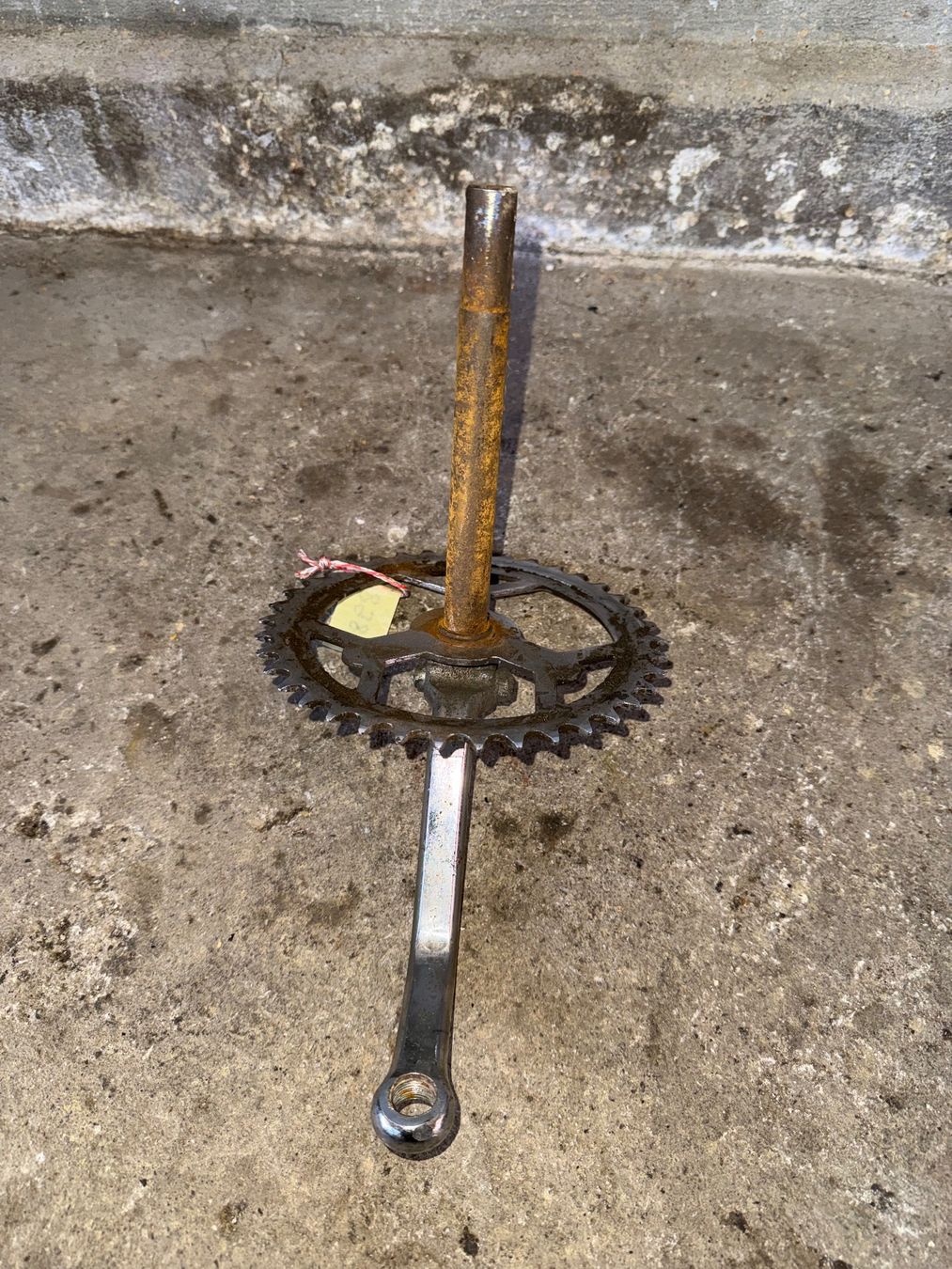 Sachs Parti ricambio per ciclomotori: Sachs Mofa Tretwerk – Usato da Fahrni b. Thun venduto da berger_tuning34 2