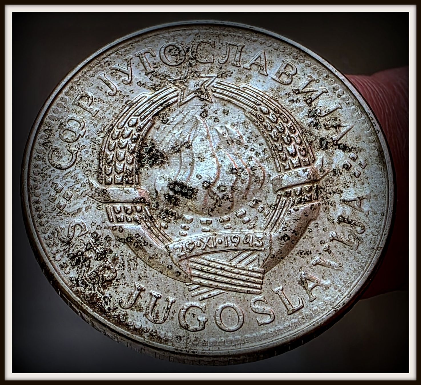 Tutti le monete: JUGOSLAWIEN 5 DINARA 1981 – Usato da winterthur venduto da CoinPassion 1