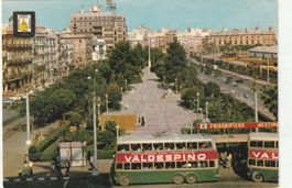 CADIZ