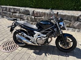 Suzuki Gladius 650, für kleinere Personen ideal