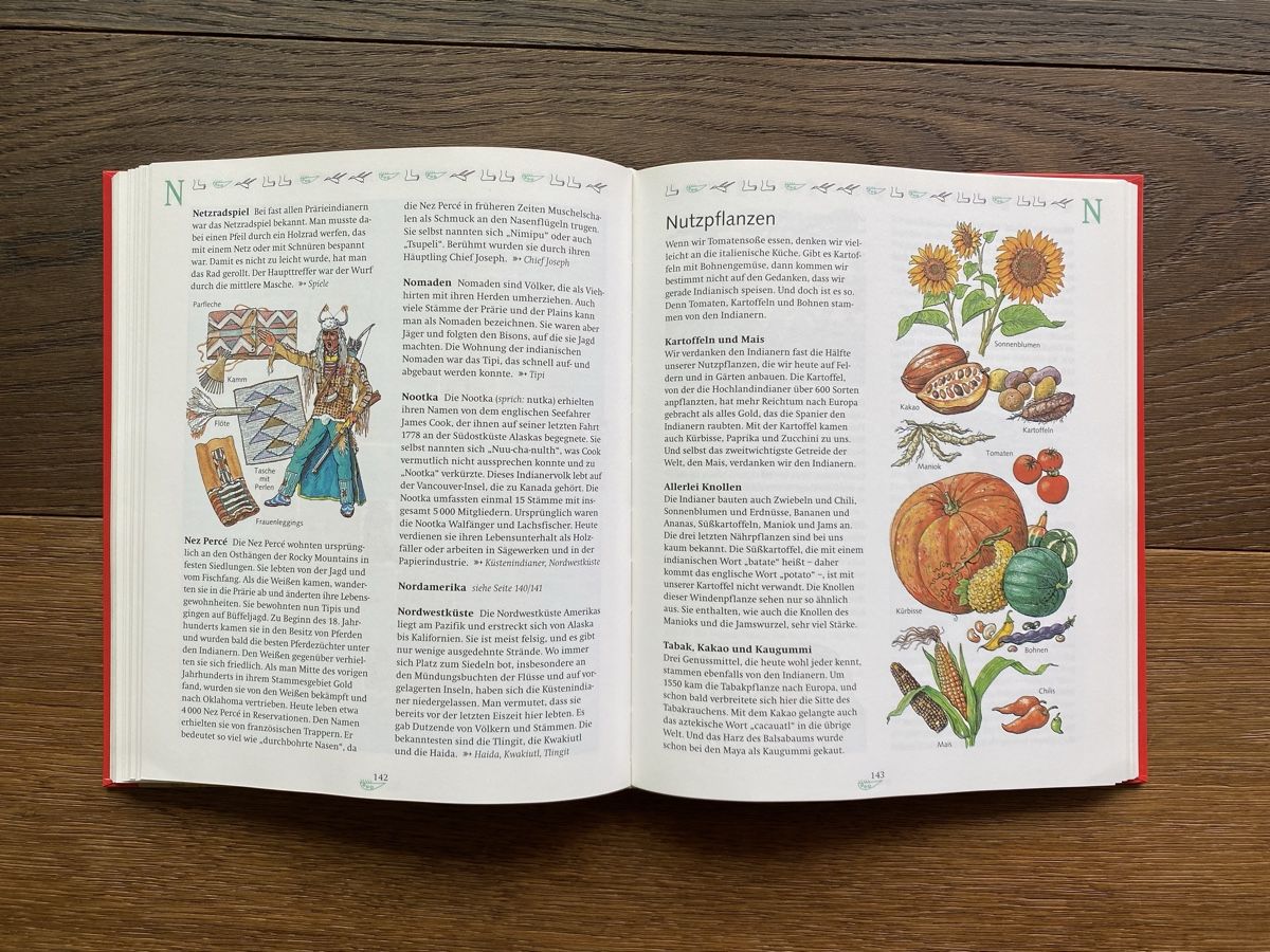 Libri: Indianer-Lexikon – Usato da Pfäffikon ZH venduto da aveo14 2