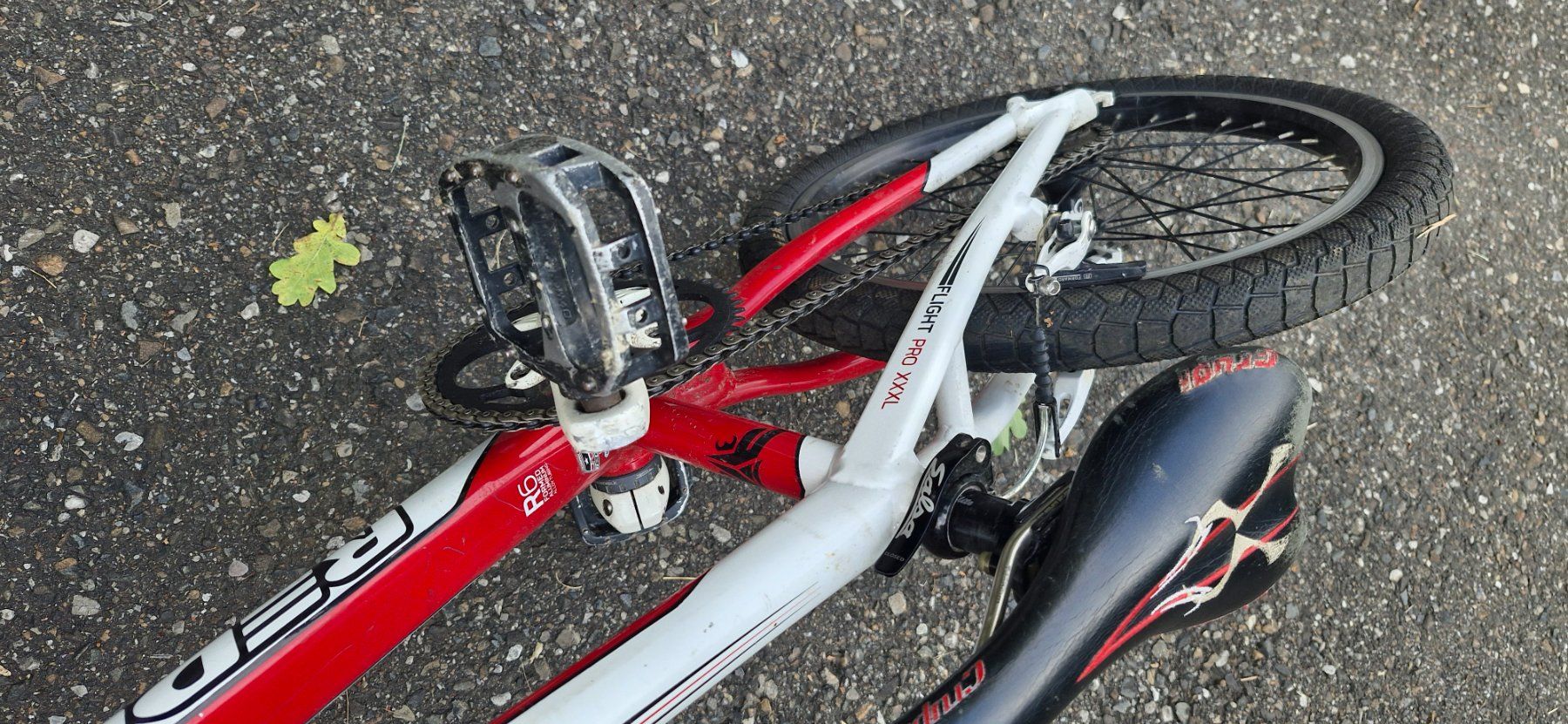 Biciclette: BMX Redline Flight Pro – Usato da Gams venduto da illesbundi 2