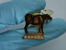 Pin Canada Elch - Box 14