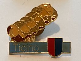 1 Pin Brotspezialität Ticino