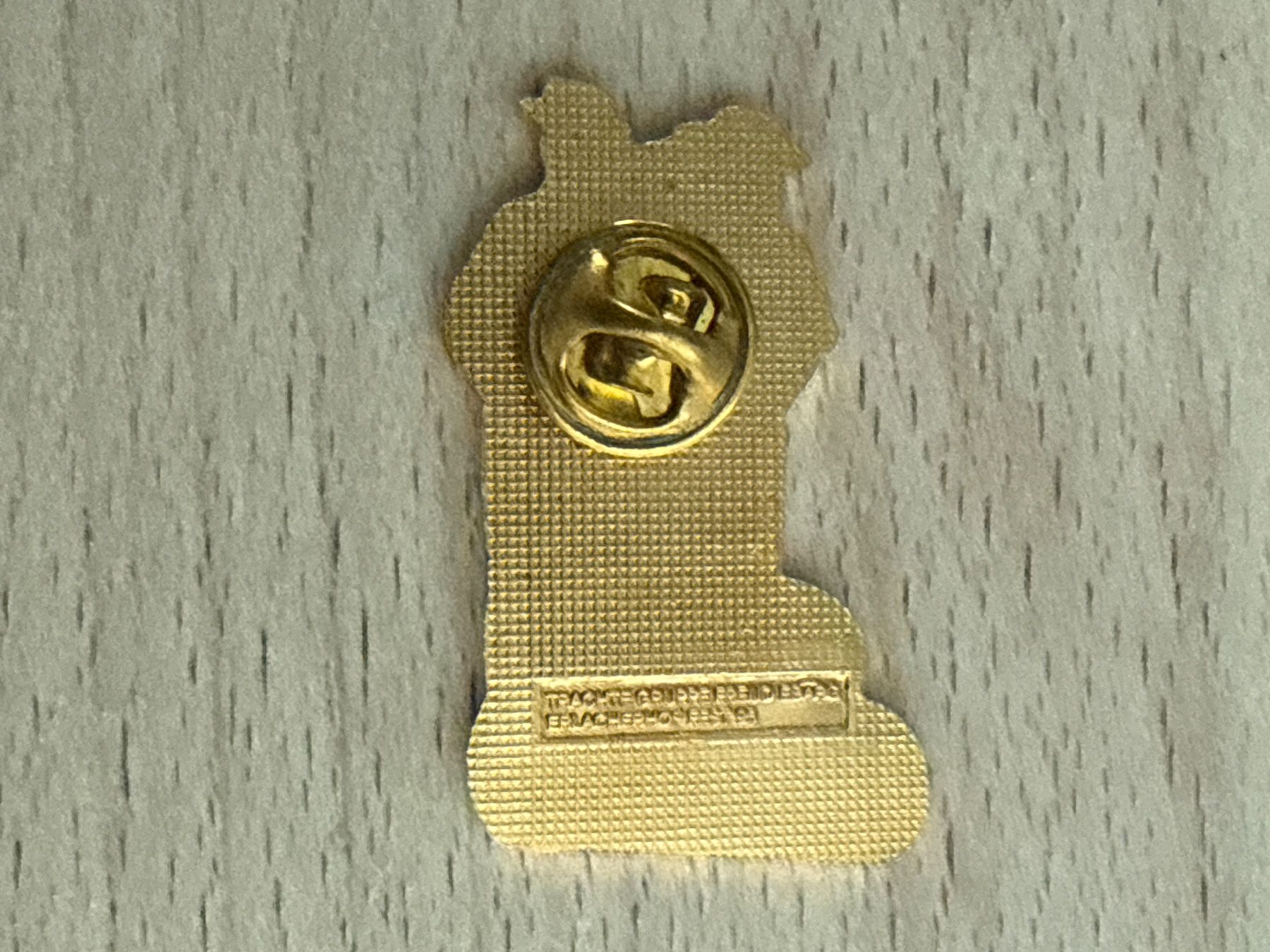 Placchette & Badge: Pin Berner Werktagstracht – Usato da Glattbrugg venduto da Schweigmatt 1