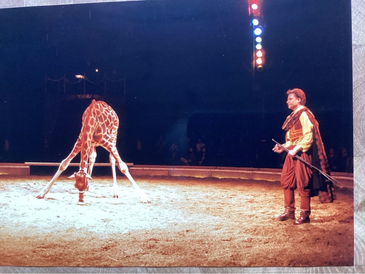 Foto & Immagini: Circus Knie Foto 1988 – Usato da Reichenbach i. K. venduto da astra2010