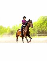 PS4😎 My Little Riding Champion Träume im Galopp!