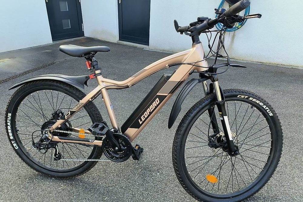 Vélos: Leopard E-Bike – Neuf (Voir description) à Gelterkinden par ram_5vkp