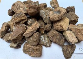 Bernstein ca 1.4Kilo    grosse Brocken  woodamber Sumatra