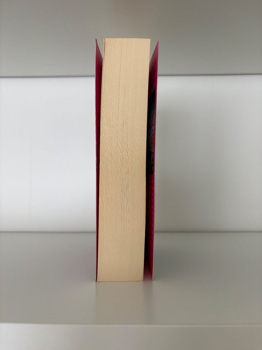 Libri: Tick Tack - Megan Miranda – Usato da Steffisburg venduto da elsa.catalina 3