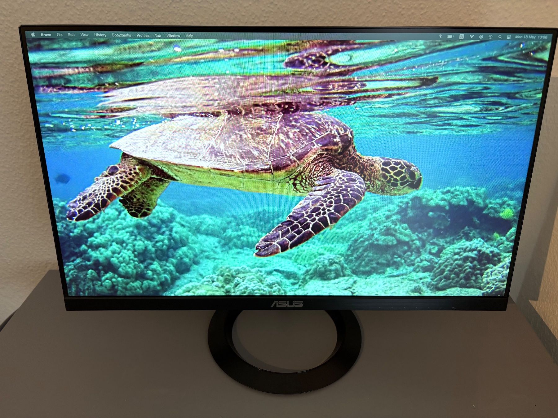 Monitor: LCD Bildschirm ASUS VZ249 24'' – Usato da Zürich venduto da gsclauzer