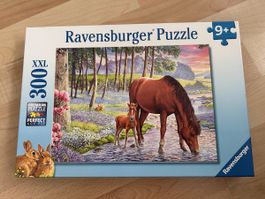 Ravensburger XXL 300 Teile  