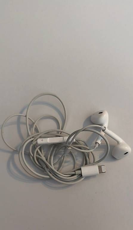 Kopfhörer: Apple Earpods – Gebraucht aus Immensee von nwi_2tfk