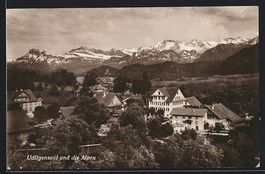 Udligenswil, Teilansicht mit den Alpen