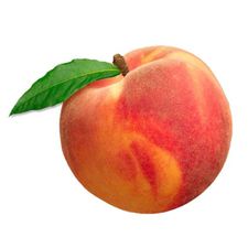 Profile image of littlepeach