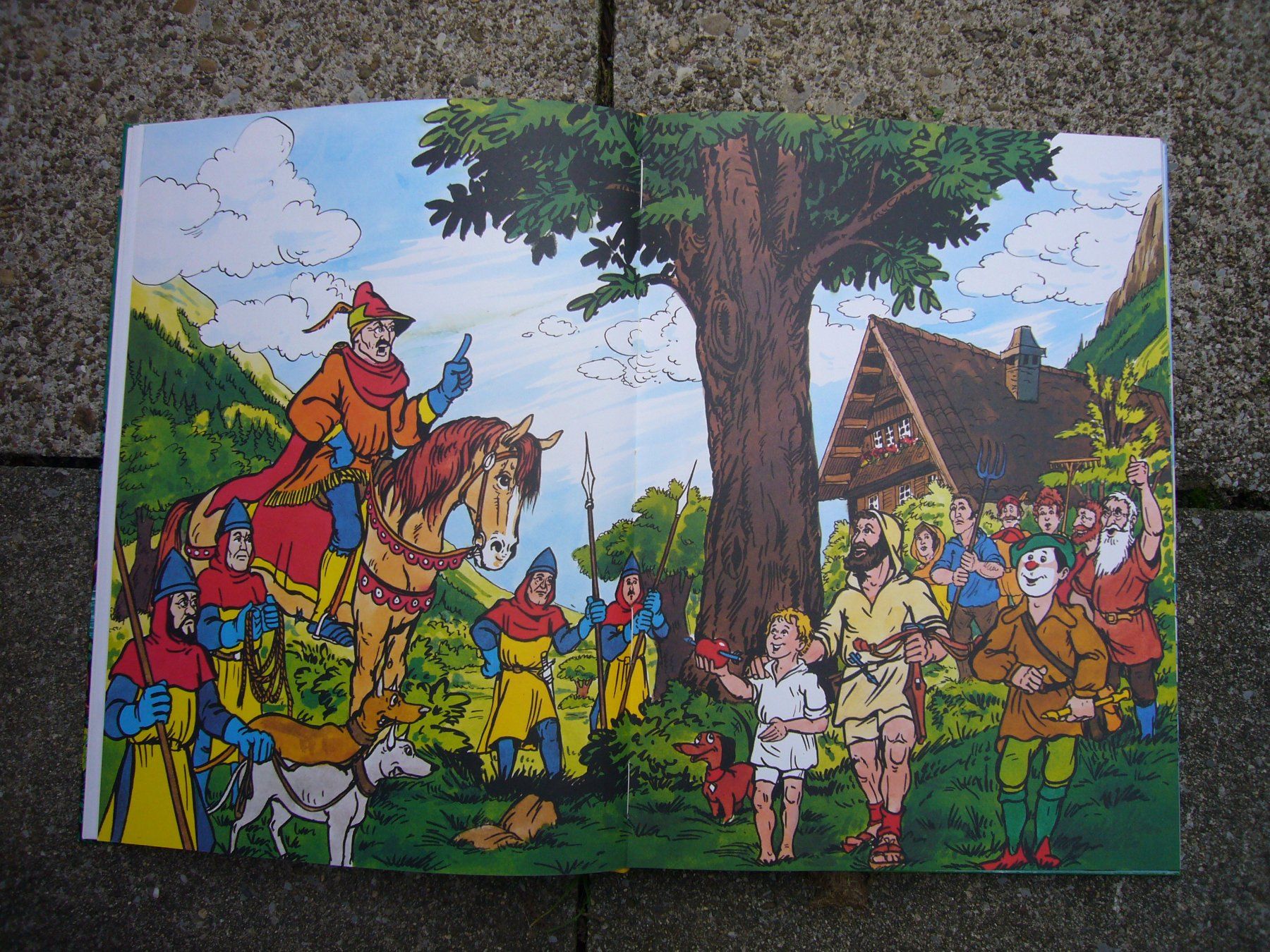 Libri: Kinderbücher "Ringgi+Zofi" – Usato da Weinfelden venduto da Frosch467 2