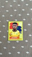 Panini FIFA World Cup 2026 Sticker RSA 14