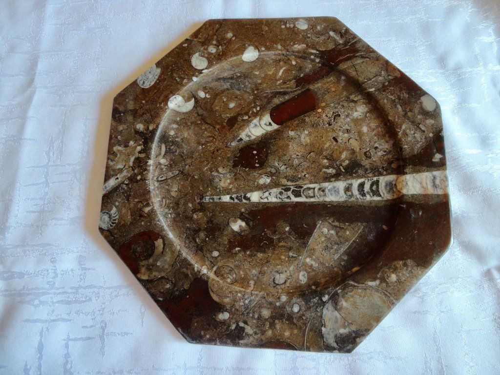 Assiettes: Orthoceras - Teller – Neuf (Voir description) à Biberist par tl-schmuck