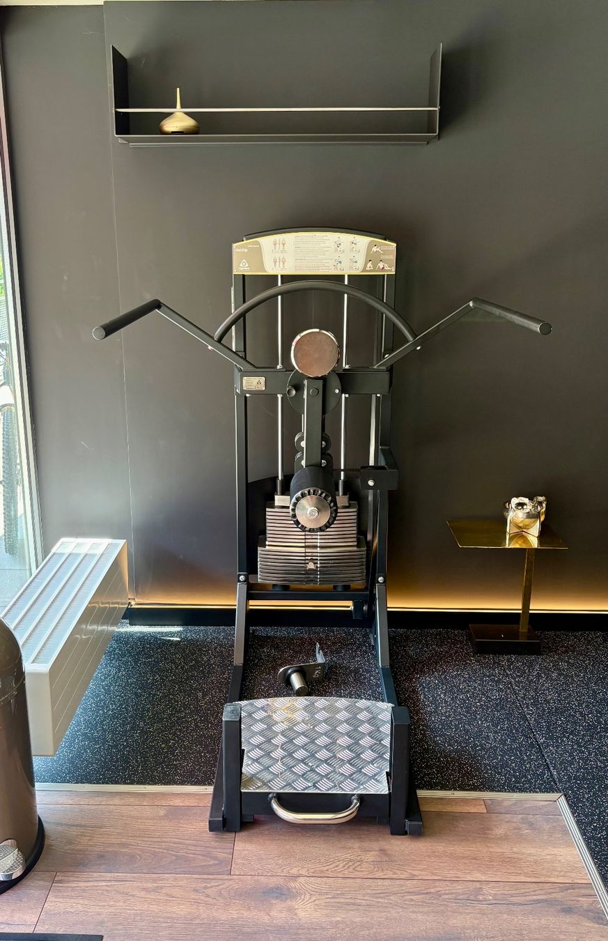 Hometrainer: Multihip - Effektives Gesäss- & Beingerät in Studioqualität – Nuovo (secondo la descrizione) da Wädenswil venduto da Domjay84