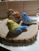 Vögel basteln