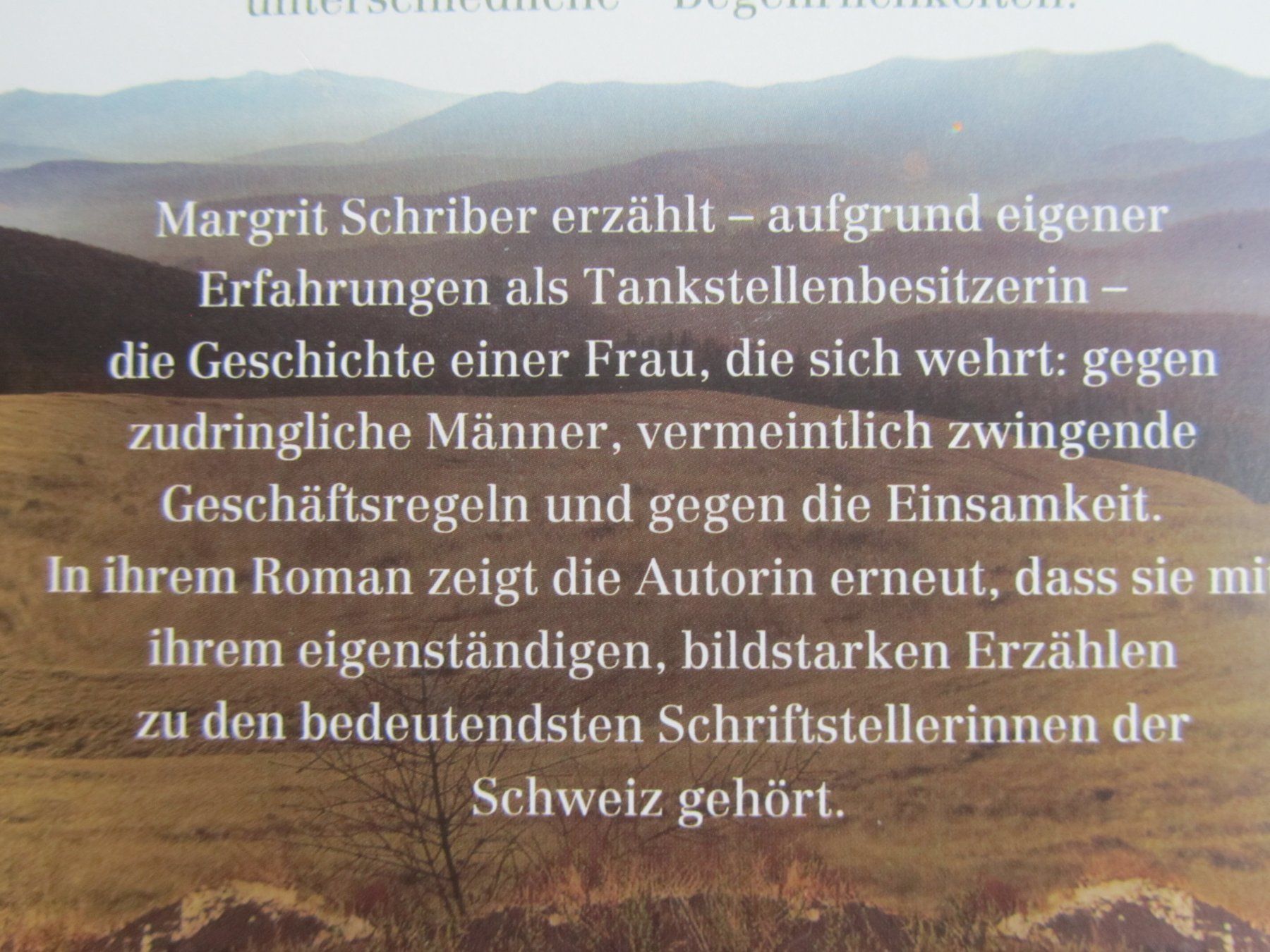 Libri: Margrit Schriber  --  Glänzende Aussichten – Usato da Seengen venduto da mikelele 3