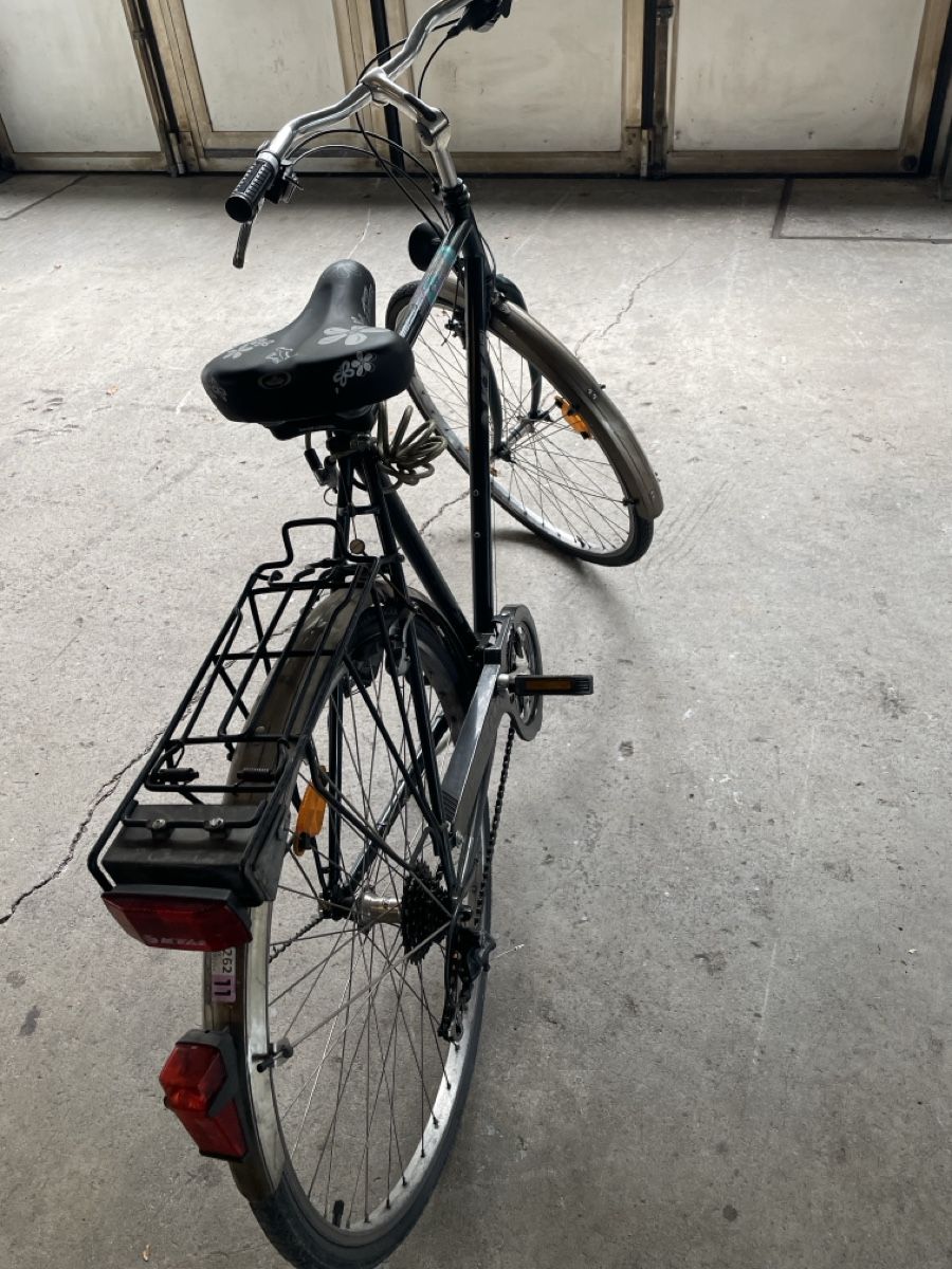 Biciclette: Herrn Velo – Usato da Niederstocken venduto da triumph_tr6 3
